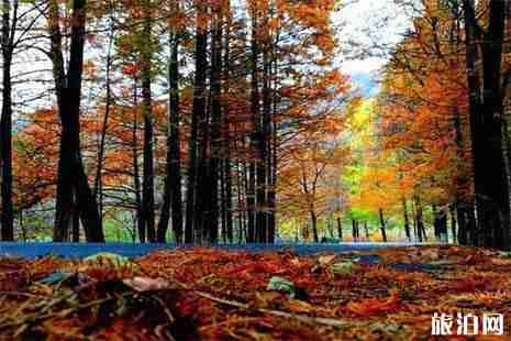 秦岭国道自驾游赏秋最好的路段