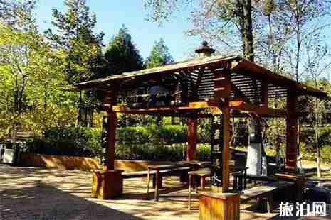 北宮國家森林公園紅葉紅了嗎？