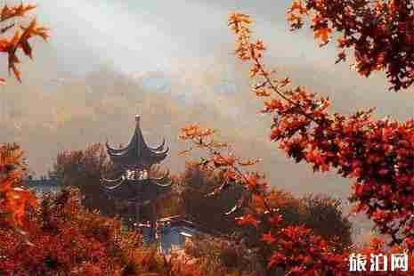 北宮國家森林公園紅葉紅了嗎？