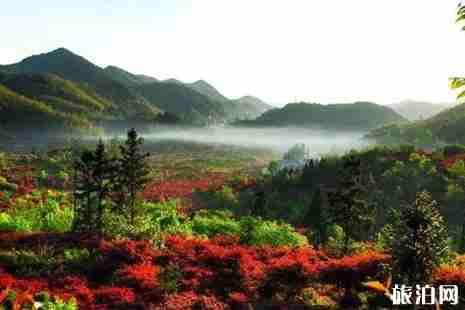 宁波去四明山怎么去 四明山旅游景点有哪些