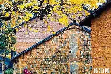 浙江銀杏樹最多的地方  浙江哪里銀杏最美