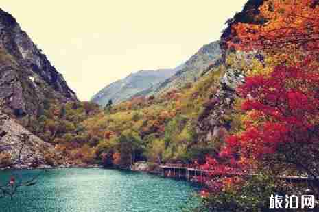 成都到松坪溝怎么走+多少公里 松坪溝門票+有哪些景點(diǎn)