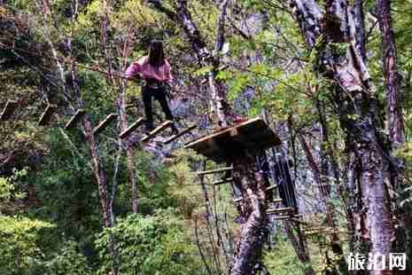 成都到松坪溝怎么走+多少公里 松坪溝門票+有哪些景點(diǎn)