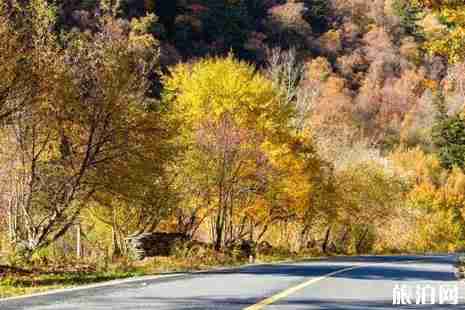 成都到松坪溝怎么走+多少公里 松坪溝門票+有哪些景點(diǎn)