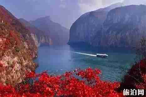 湖北看紅葉最好的地方推薦