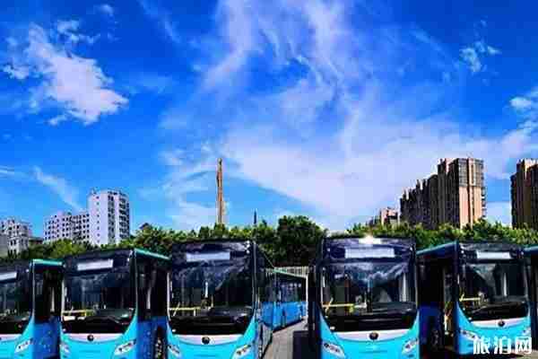 2020大理公交停運信息和什么時候恢復