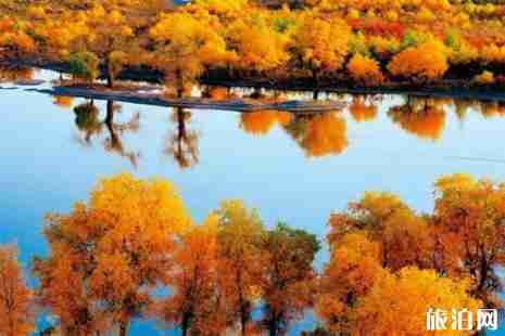 十一月南疆旅游有什么好看的