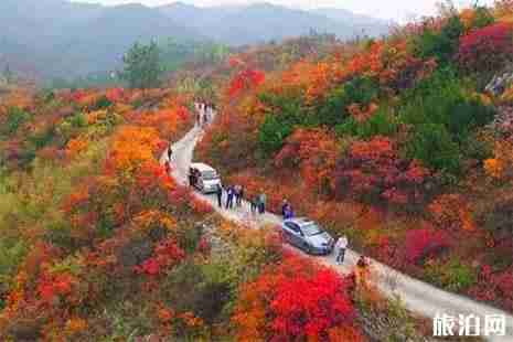 焦作長嶺村怎么去 長嶺村看紅葉什么時候去好
