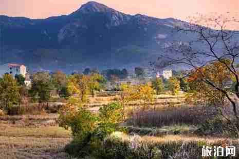 大悟縣賞紅葉路線安排推薦 采風地推薦+交通