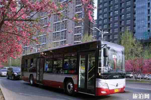 2020河北沧州疫情交通管制信息和公交运营时间调整信息