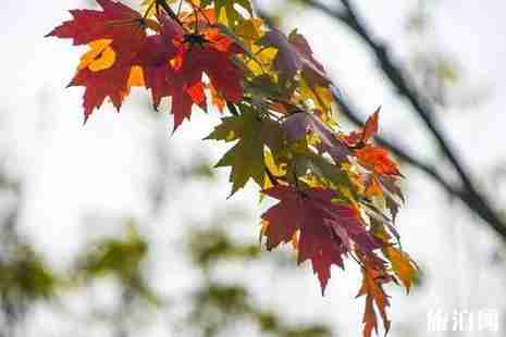 洪澤湖濕地公園好玩嗎 洪澤湖濕地公園好玩嗎