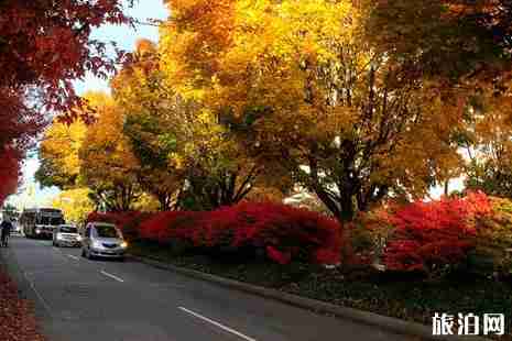 溫哥華交通攻略