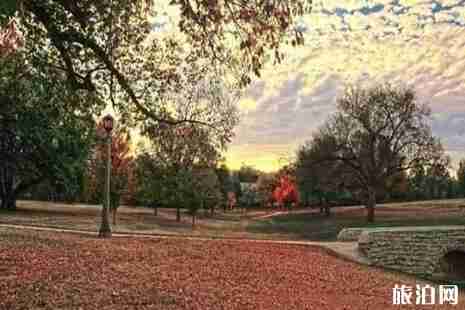 溫哥華楓葉什么時候紅 溫哥華哪里看楓葉 溫哥華楓葉什么時候紅 溫哥華哪里看楓葉