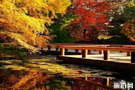 溫哥華楓葉什么時候紅 溫哥華哪里看楓葉 溫哥華楓葉什么時候紅 溫哥華哪里看楓葉