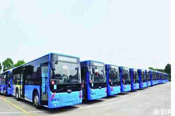 2020株洲公共交通恢復時間和信息整理