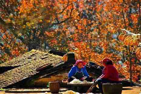 婺源2018首屆紅楓文化旅游節什么時候舉辦