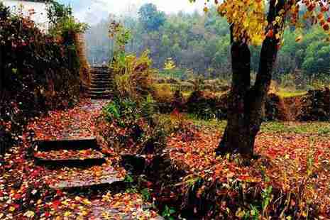 婺源2018首屆紅楓文化旅游節什么時候舉辦