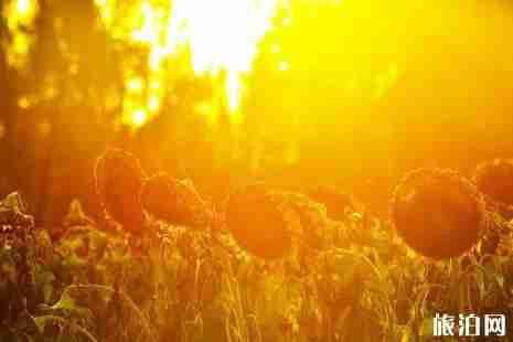 北京百里畫廊門票價格 北京百里畫廊自駕攻略