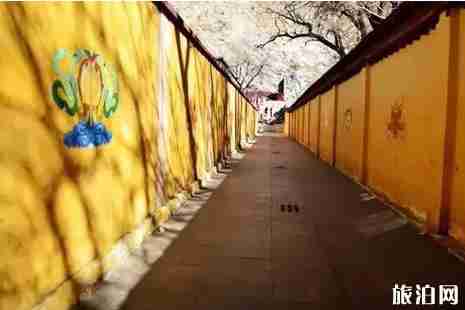 拉薩景點(diǎn)門票價(jià)格整理