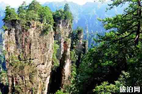 神堂灣谷底有什么秘密 神堂灣谷底有人到過嗎