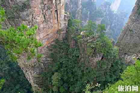 神堂灣谷底有什么秘密 神堂灣谷底有人到過嗎