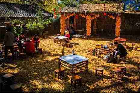 腾冲银杏村最佳时间 门票+交通+注意事项 超级实用攻略