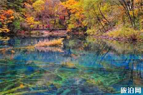 最美的水景全球推荐 最美的水景全球推荐