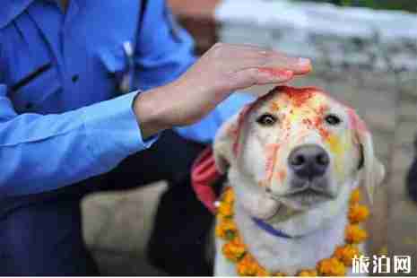 尼泊爾燈節2018時間+介紹 尼泊爾燈節2018時間+介紹