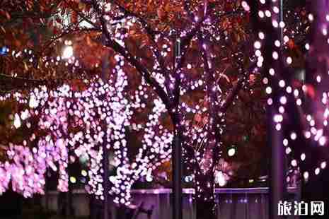 日本點(diǎn)燈冬季時(shí)間+地點(diǎn) 日本點(diǎn)燈冬季時(shí)間+地點(diǎn)