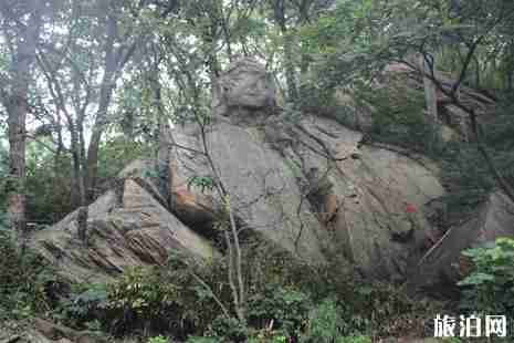 花果山门票多少钱 花果山开放时间+交通
