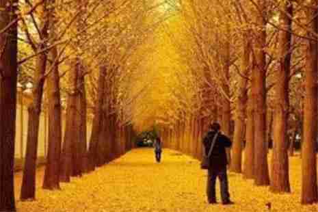 邳州有什么好玩的地方