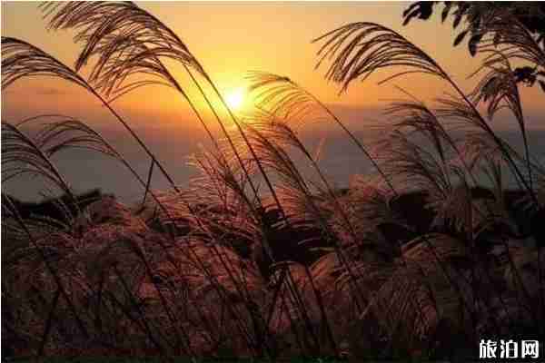 如何去西山島 秋天去西山島有什么好玩的