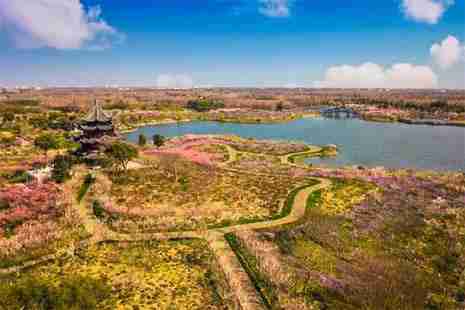 上海海灣國家森林公園可以帶無人機進去嗎