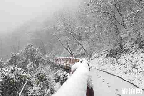 陜西下雪了嗎2018 陜西哪里下雪了