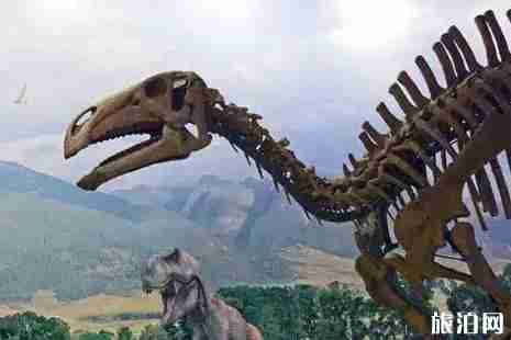 遼寧古生物博物館開館時間+門票+地址+交通+介紹