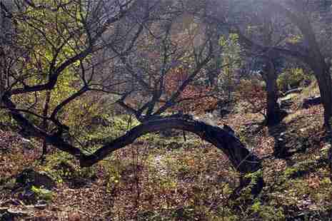 北京黃花城水長城游玩攻略 路線+交通+門票