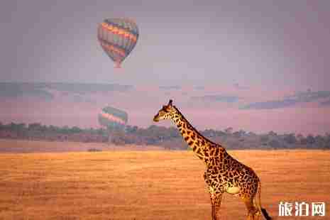 2019全國旅游年票多少錢 全國旅游年票包括哪些景點 2019全國旅游年票多少錢 全國旅游年票包括哪些景點