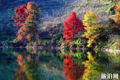 廣西秋天旅游景點(diǎn)大全+交通攻略