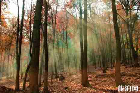 廣西秋天旅游景點(diǎn)大全+交通攻略