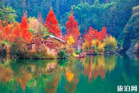 廣西秋天旅游景點(diǎn)大全+交通攻略