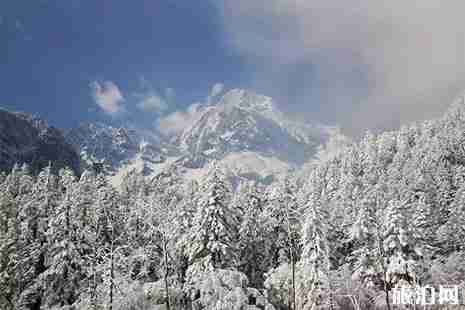 川西下雪了嗎 2018川西哪里看雪 川西下雪了嗎 2018川西哪里看雪