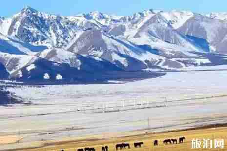 川西下雪了嗎 2018川西哪里看雪 川西下雪了嗎 2018川西哪里看雪