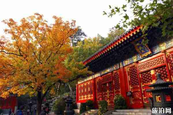 香山公園分時段入園+預(yù)約入園+預(yù)約時間