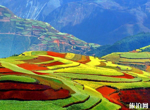 去云南旅游交通攻略 去云南旅游交通攻略