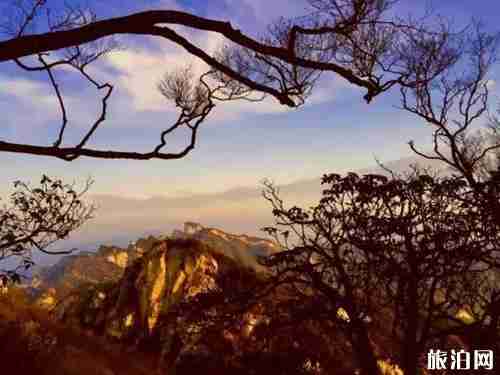 廣州白云山可以開車上去嗎 附廣州白云山重陽節交通管制2019