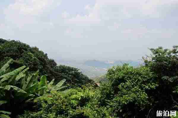 深圳大南山登山口在哪里 可以開車上去嗎+交通指南