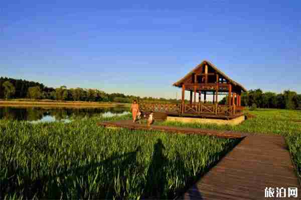 大運(yùn)河森林公園停車場(chǎng)在哪里