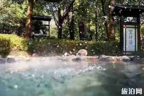 武汉温泉有哪些