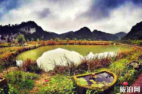 綦江花坝门票多少钱 綦江花坝露营基地价格