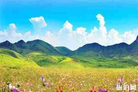 綦江花坝门票多少钱 綦江花坝露营基地价格